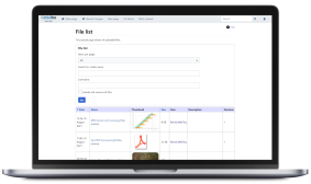 File upload in wikibase